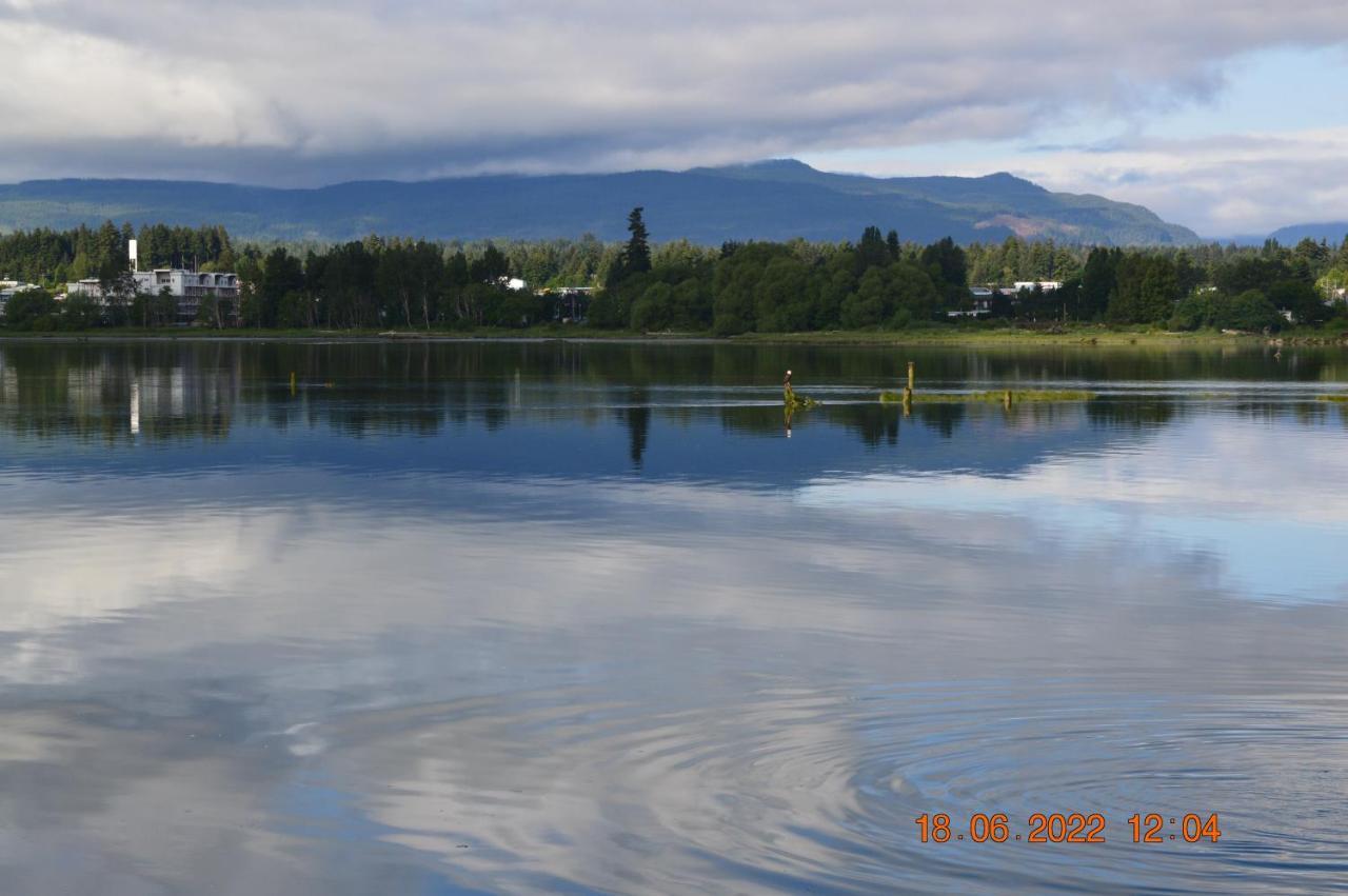 Estuary House Reflexology B&B Courtenay Exterior foto